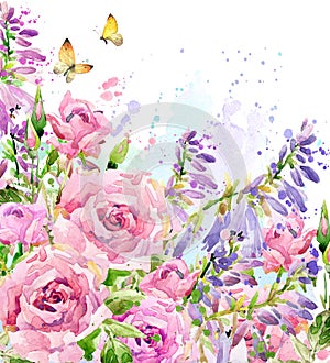 Watercolor garden flower. Watercolor rose illustration. Watercolor flower background.