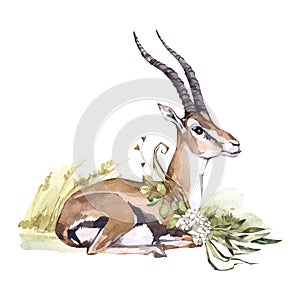 Watercolor Gazelle with flowers on grass. African animlas clipart.