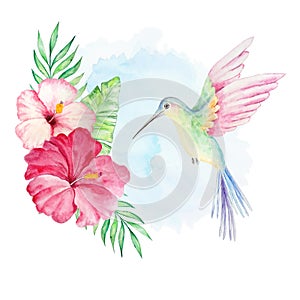 Watercolor hummingbird with flowers and background