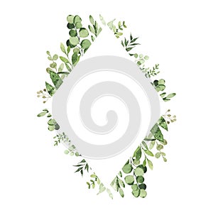 Watercolor geometrical frame with greenery leaves branch twig plant herb flora isolated