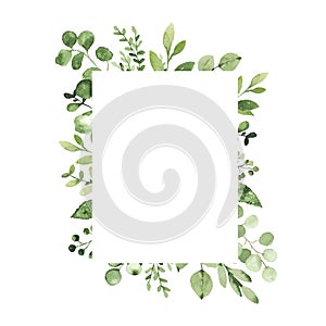 Watercolor geometrical frame with greenery leaves branch twig plant herb flora isolated