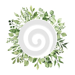 Watercolor geometrical round frame with greenery leaves branch twig plant herb flora isolated