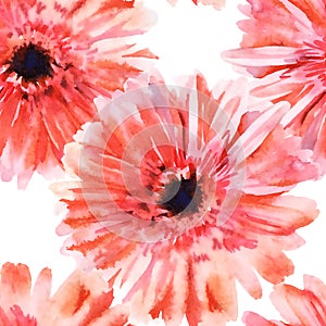 Watercolor  gerbera seamless pattern