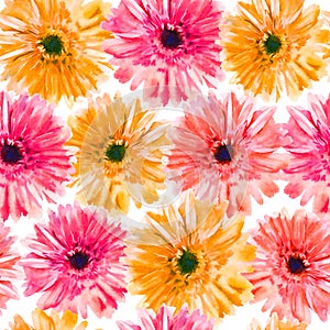 Watercolor  gerbera seamless pattern