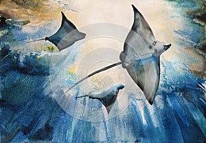 Watercolor of giant stingrays dive into the water. Original blue illustration of common eagle ray and two stingrays in differetn