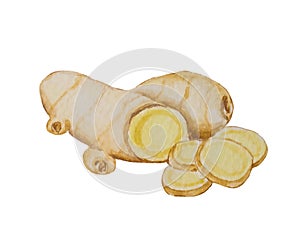 watercolor Ginger, spice, hot, aromatic, for tea, recipes, ingredient, oriental, drink, market, shop, white background