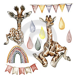 Watercolor giraffe illustration, Cartoon tropical animal , exotic summer jungle design.Hand drawn. Designf for baby shower party,