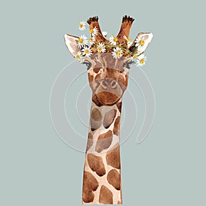 Watercolor giraffe vector portrait