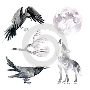 Watercolor gloomy clipart collection. Wild wolf, full moon and ravens.