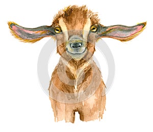 Watercolor Goat head