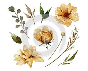 Watercolor golden flowers and leaves individual element illustration