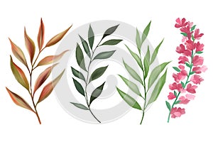 Watercolor gouache wild field botabical leaf foliage arrangement ornament hand drawn illustration element