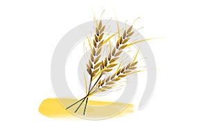 Watercolor grain spike wheat seeds plant