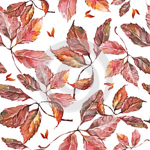 Watercolor grapes red leaves seamless pattern