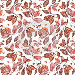 Watercolor grapes red leaves seamless pattern