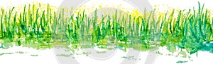 Watercolor grass linear border