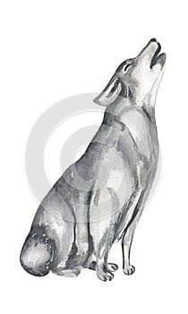 watercolor gray howling wolf