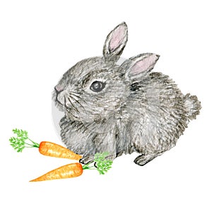 Watercolor gray rabbit illustration cute funny bunny with carrot isolated on white background, card for Easter