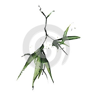 Watercolor green bamboo branch with leaves. Exotic greenery twig. Clipart watercolour illustration.