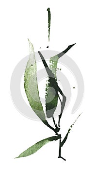 Watercolor green bamboo branch with leaves. Exotic greenery twig. Clipart watercolour illustration.