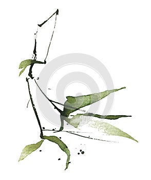 Watercolor green bamboo branch with leaves. Exotic greenery twig. Clipart watercolour illustration.