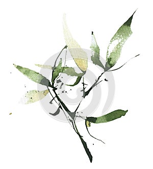 Watercolor green bamboo branch with leaves. Exotic greenery twig. Clipart watercolour illustration.