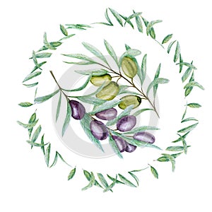 Watercolor green black olive tree branch leaves wreath, Realistic olives illustration on white background, Hand painted