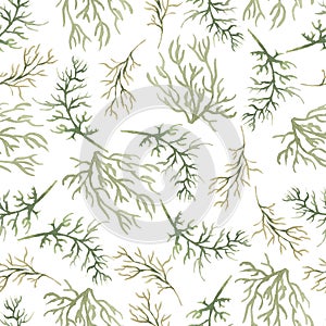 Watercolor green branch seamless pattern, delicate greenery repeat paper, florals background, grass paper, textile printing