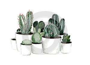 Watercolor green cactus set in white pots