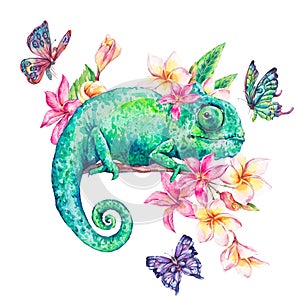 Watercolor green chameleon with butterflies, flowers