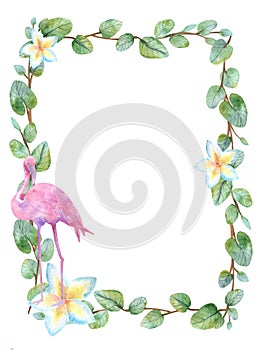 Watercolor green floral frame card with silver dollar eucalyptus round leaves.