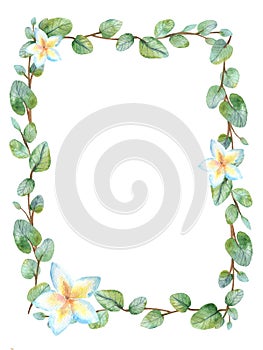 Watercolor green floral frame card with silver dollar eucalyptus round leaves.