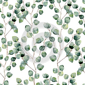 Watercolor green floral seamless pattern with eucalyptus round leaves