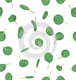 Watercolor green floral seamless pattern with eucalyptus leaves.