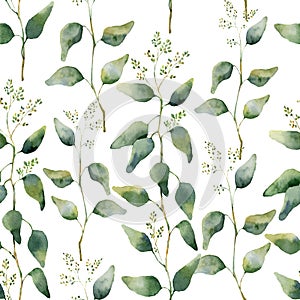 Watercolor green floral seamless pattern with flowering eucalyptus.