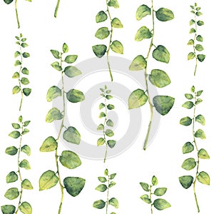 Watercolor green floral seamless pattern with herbs with round leaves. Hand painted pattern with branches and leaves of