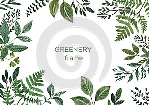 Watercolor green foliage frame with wild herbs, plants and leaves on white background. Modern greenery and foliage frame.