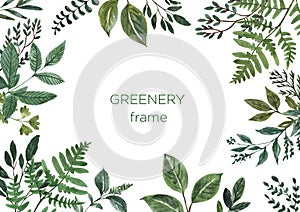 Watercolor green foliage frame with wild herbs, plants and leaves on white background. Modern greenery and foliage frame. photo