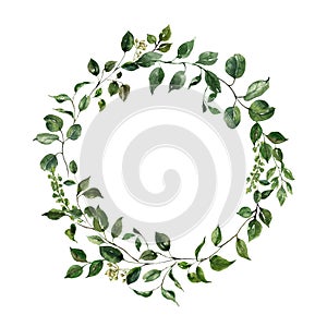 Watercolor green foliage wreath illustration. Floral frame, isolated on white background. Spring lush greenery, leaves