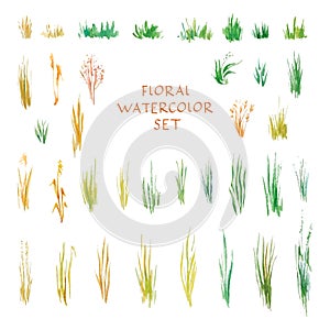 Watercolor green grass. Hand painted summer field clipart, grass patch illustration isolated on white background