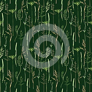 Watercolor green grass seamless pattern, wild meadow herbal greenery illustration, cereal wild plants, floral hand drawn