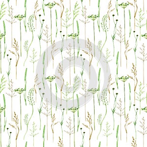 Watercolor green grass seamless pattern, wild meadow herbal greenery illustration, cereal wild plants, floral hand drawn