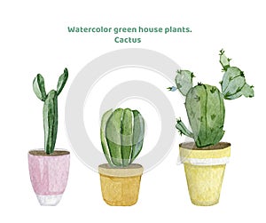 Watercolor green house plants illustration. Set cactus elements home in pots for greetig card, banner