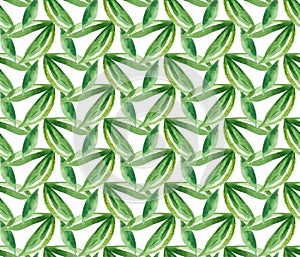 Watercolor green leaf pattern