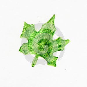 Watercolor green leave