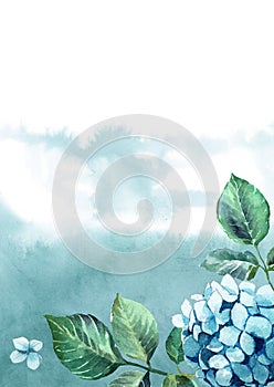 Watercolor green leaves , blue hydrangea on white background with paint splash for greetings card