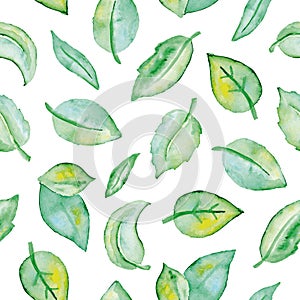 Watercolor green leaves seamless pattern. Hand painted