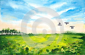 Watercolor green meadow with flying ducks