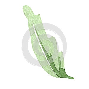 Watercolor green poppy leaf. Floral botanical flower. Isolated illustration element.