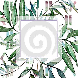 Watercolor green willow branches. Leaf plant botanical garden floral foliage. Frame border ornament square.